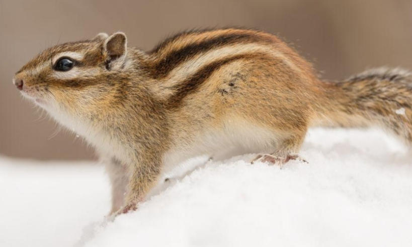 四川嘉裕福华商贸有限公司轮播图2