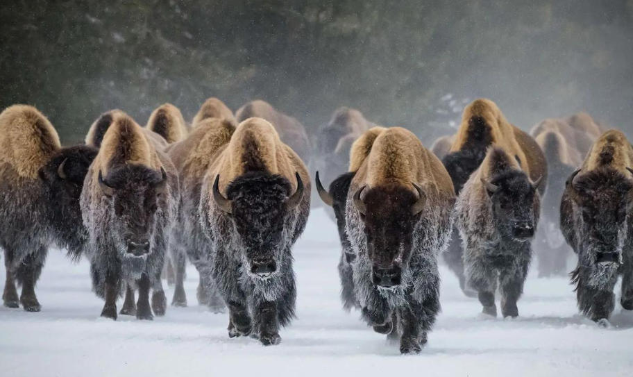 四川嘉裕福华商贸有限公司轮播图2